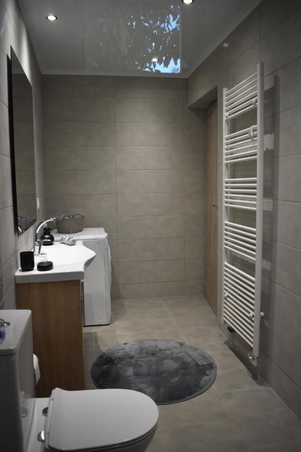 Athina'S Cozy House Apartment Sfakianalion ภายนอก รูปภาพ